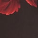 Garnet Botanica