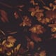 Hazy Petals
